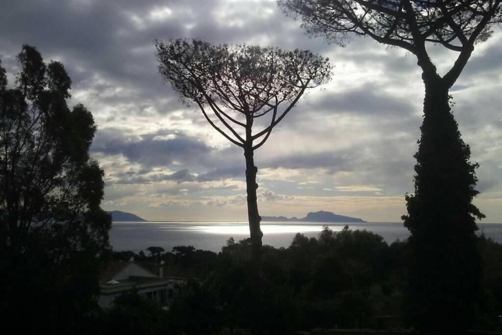 Napoli Centro Storico Un Passo Da San Gennaro Appartement Buitenkant foto